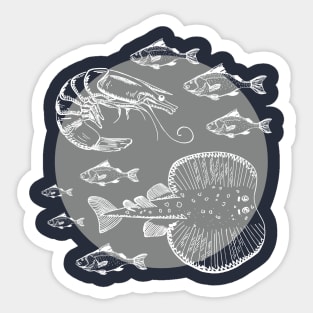 Sea Fishes - Hand Drawn - Grey Sticker